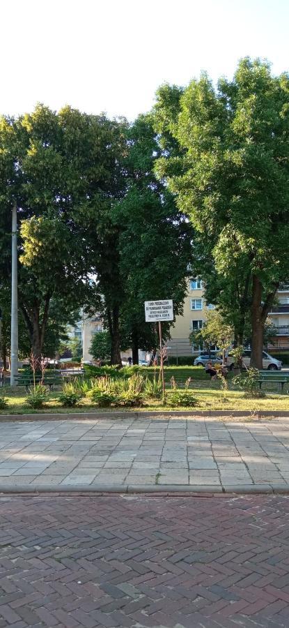 Apartament Focha 琴斯托霍瓦 外观 照片