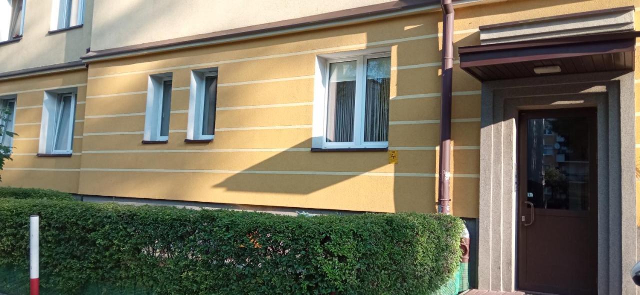 Apartament Focha 琴斯托霍瓦 外观 照片