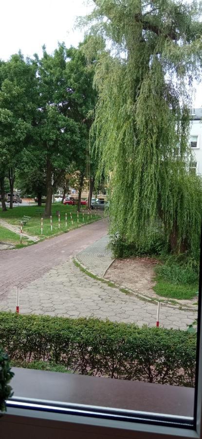 Apartament Focha 琴斯托霍瓦 外观 照片